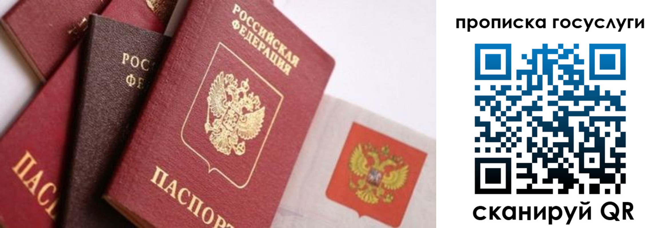 прописка законно в Шахунье